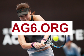 opta预测欧冠冠军概率：阿森纳29.47%最高拜仁第二，皇马低于纽卡